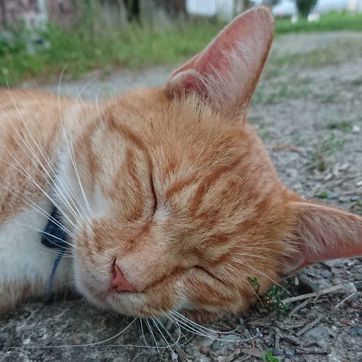 A85f0f34 ceb5 4686 82fe 9181fc41d3c6 1598952471242