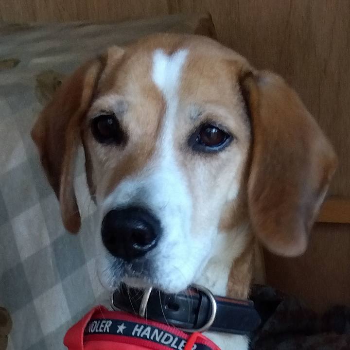 A85f1226 eca1 4acb 8753 95ea75d8bb0b 1701252013904