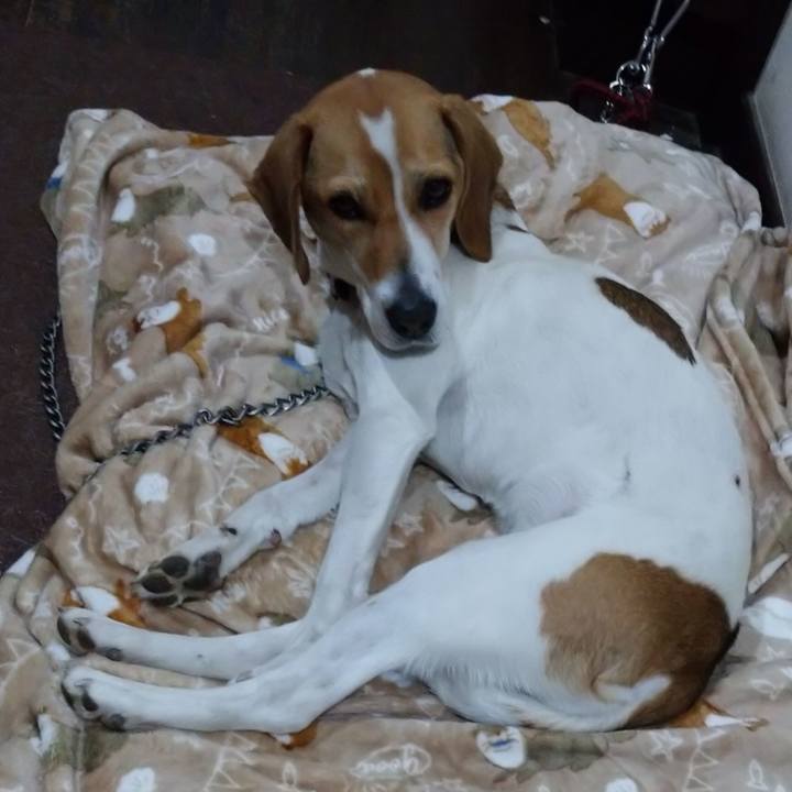 A85f27a8 58b1 4717 aa85 114e350d76e0 1581777439115