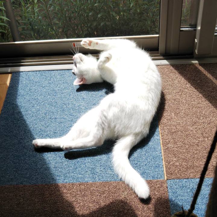 A85f6dc5 bb59 4763 bed6 43e6f1ad17da 1662254554063