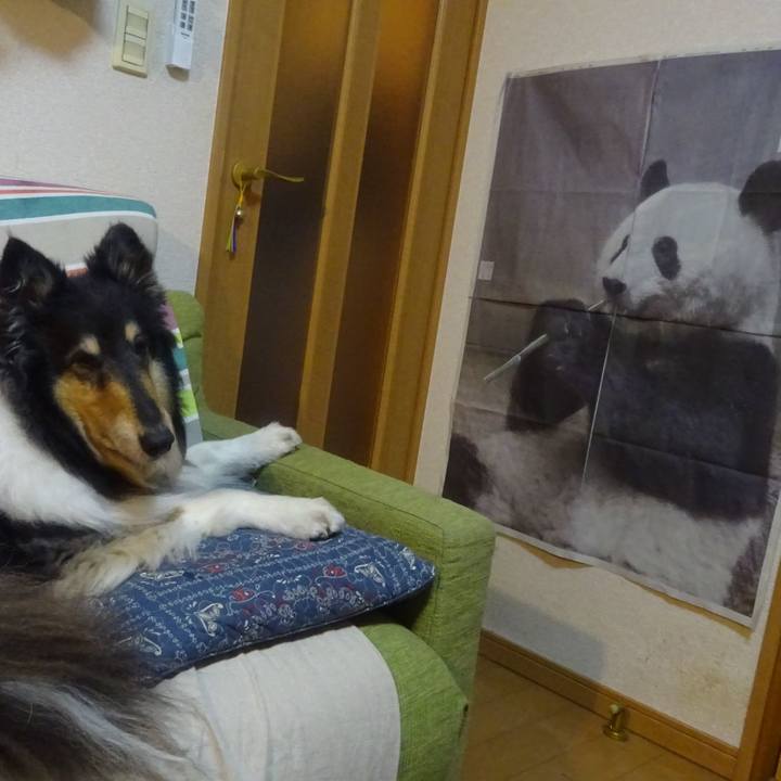 A85f892b f135 47cd 9c53 df06274afe0e 1589632520281