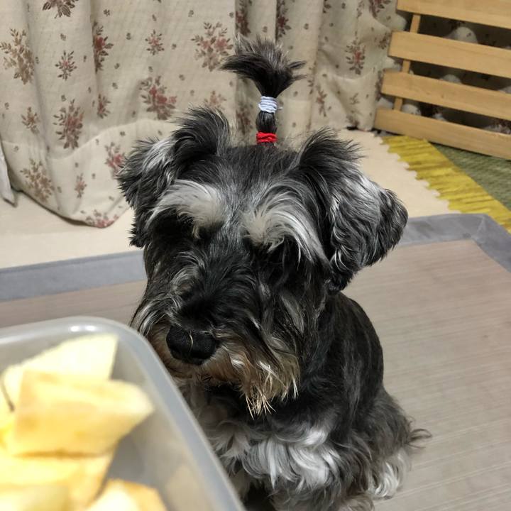 A85fa602 5725 4ccd af0e 8a99bdfdc01d 1621775020196