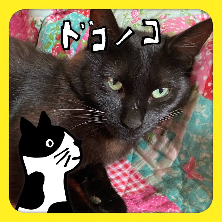 A85fb93c a714 4cb5 91c9 d8b6fc0aceb7 1623042299496