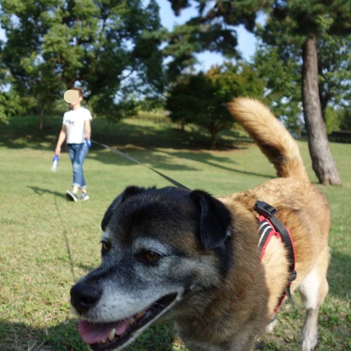 A85fbbbe 4303 4120 843d 23fd959fd013 1618619558157