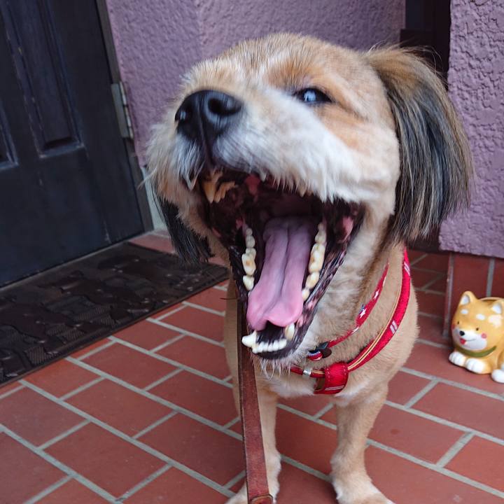 A85fddcf be4e 41ce bb46 ba9e3cc3eddb 1566284171449