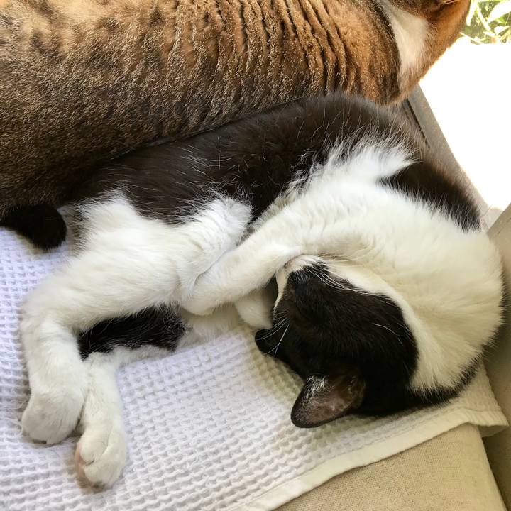 A85fe504 a05c 4b87 8646 9b00b0a1f098 1560824434841