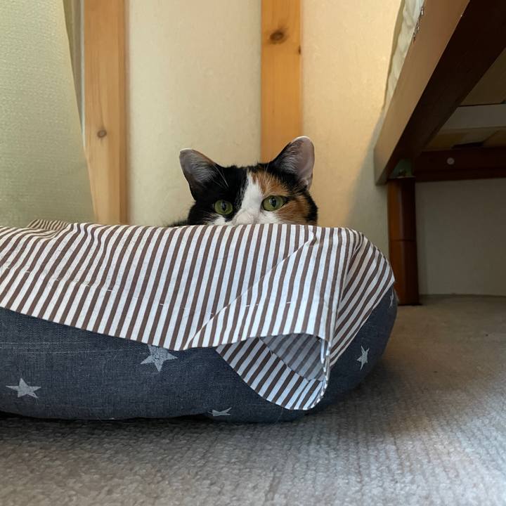 A86022cb 90ec 4229 a099 c88fdf7bc555 1718059702189