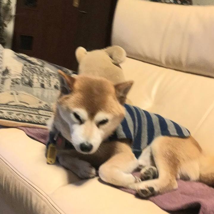 A860330d 57af 49ad abed 4b8159129a10 1613398428325