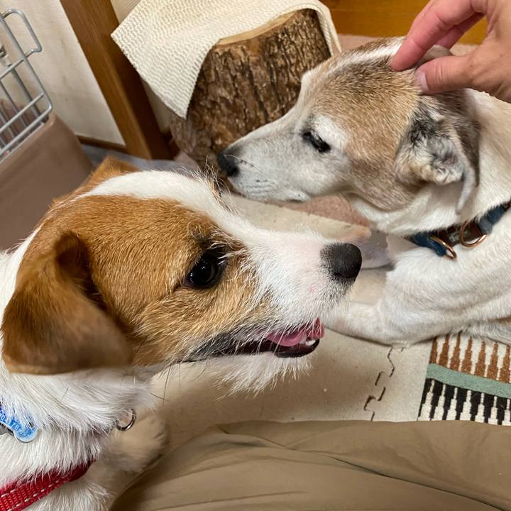 A86087a8 22fb 4f6f 950c 795e9f3e6d14 1623476530146