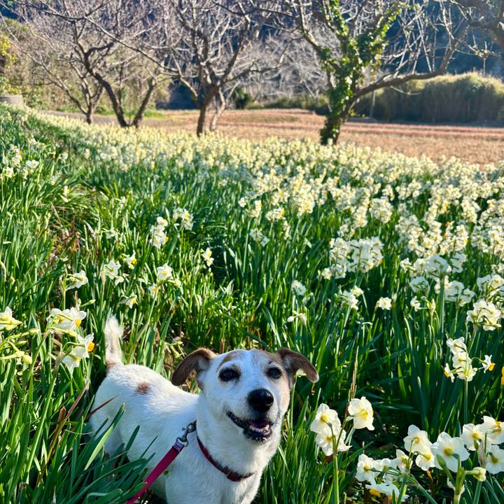 A860b078 ce12 4b32 9a94 094f9aab610a 1768567334417