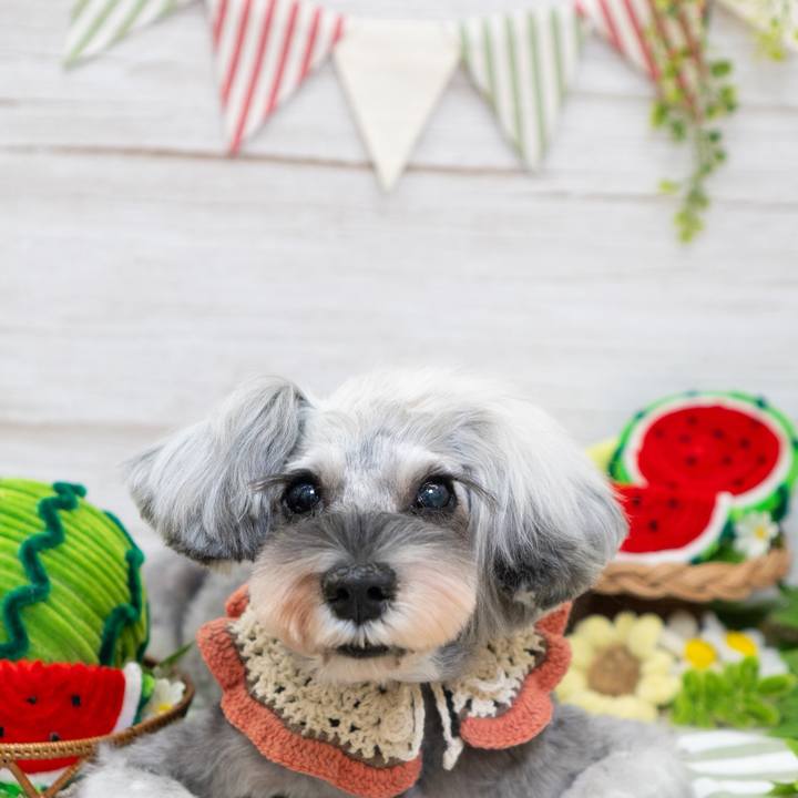 A860ccd0 f450 43b6 8693 a5b94daf0ec7 1788098321038