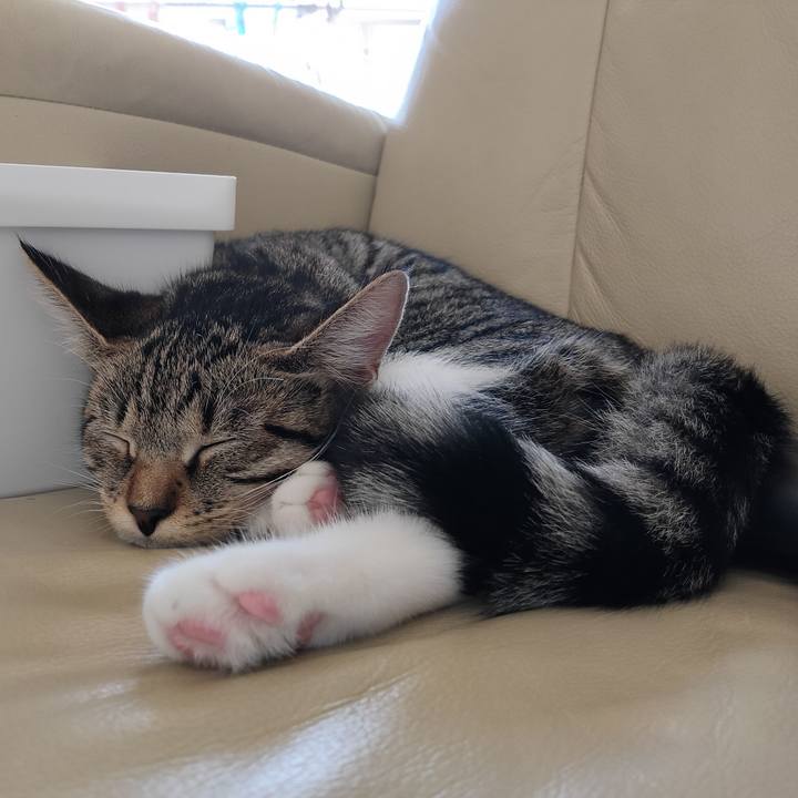 A860f5f1 3b80 4a91 827f 6b3c60574b8c 1631680484062