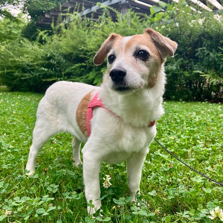 A860fe8e 255c 4b29 b3d8 1c1d4e54419c 1720270944636