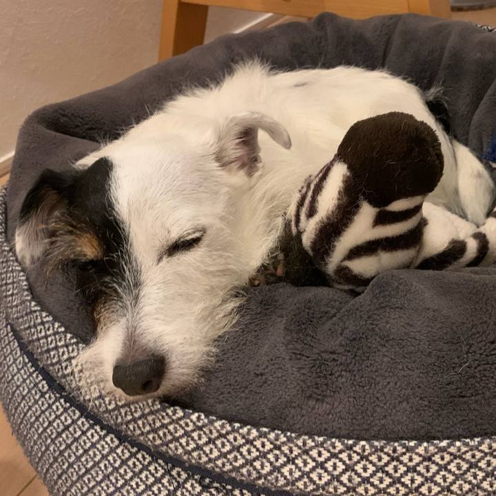 A86100b6 559e 4374 b49d a1ae924286c9 1665227389093