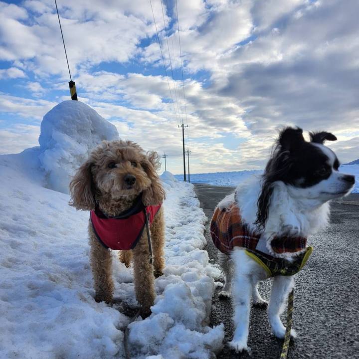 A86112bf e1ed 442d aa90 f908b15bfe4b 1770161177206