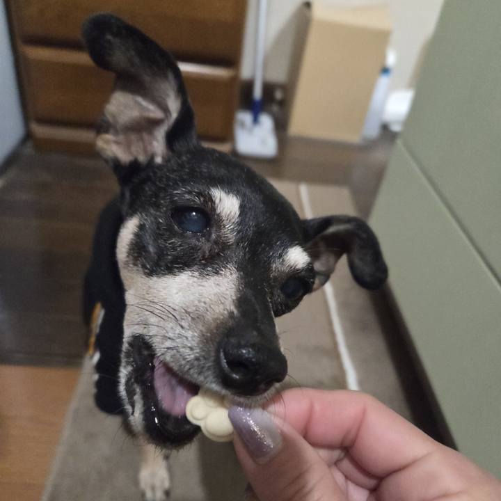 A86124f8 0afa 4ccc a3b4 45fb1bb3a2eb 1768765711991