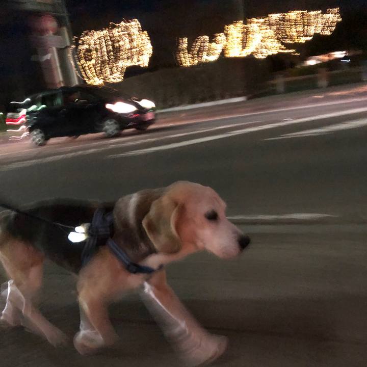 A86132d4 ed39 4049 877e 47a38c54be52 1606737677492