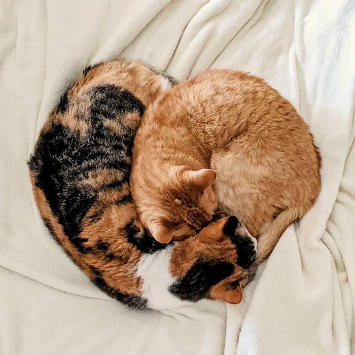 A8614913 b895 4892 a839 b832313228fb 1767250270341