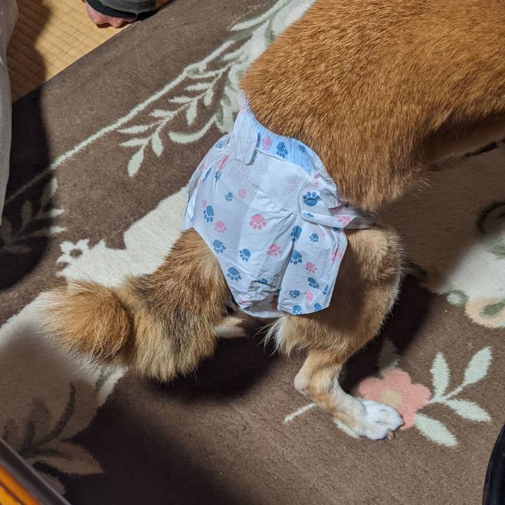 A8616249 8a8f 4699 b054 3e66bbd76b97 1762085322982