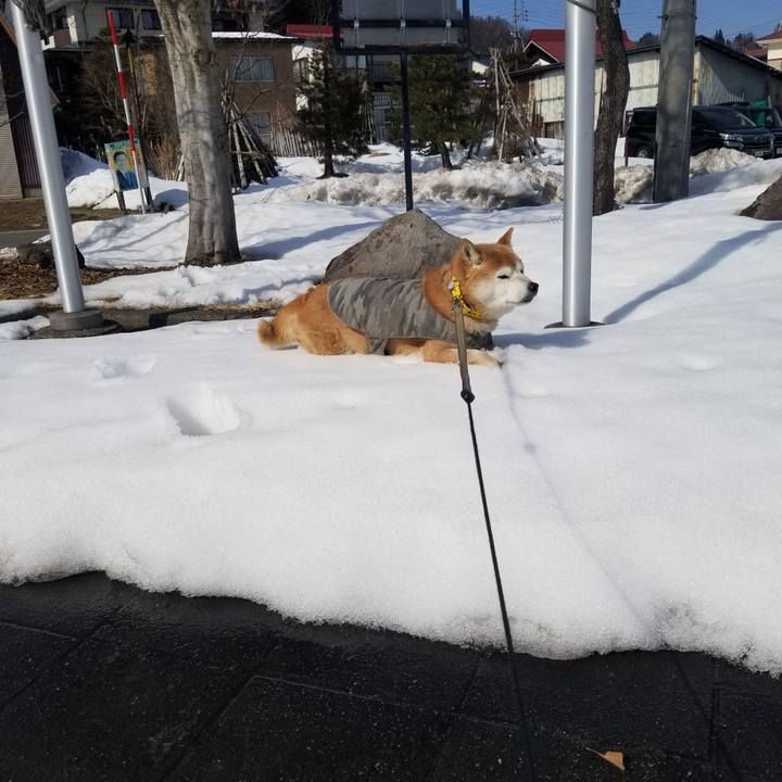 A861895a 01f9 41a2 9860 0e14332e8e60 1677644628454