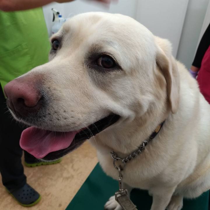 A8618fac b5c8 4af3 9eb1 60d4f6354df7 1624761877124