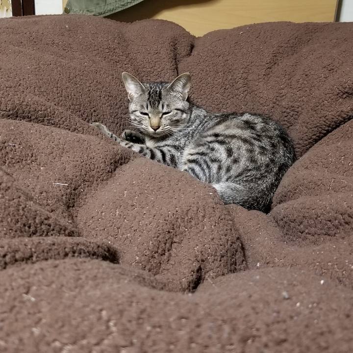 A861b51e 6d6c 45a0 936b c1e549a3cb08 1678294307030