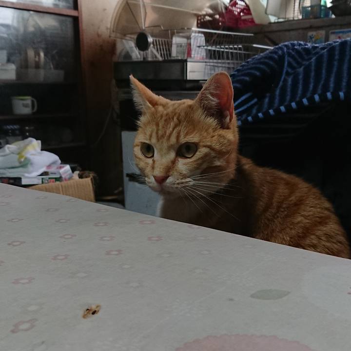 A8620894 8965 40bc 967c f9c44e0a8b7b 1587621703038