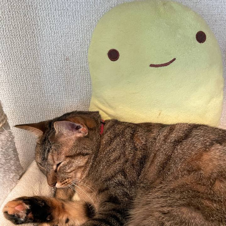 A8622fb1 846f 4f23 81b5 ffd69ae5b640 1629261065240