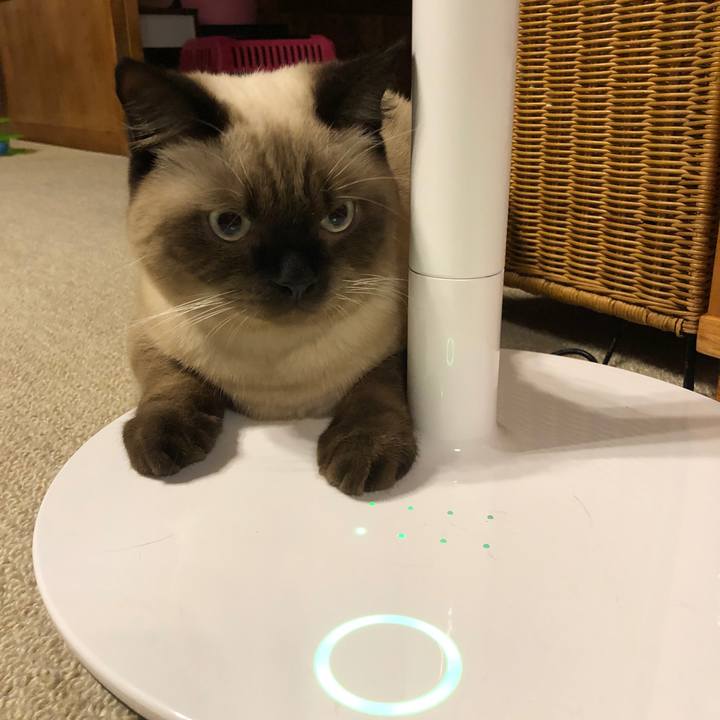 A8624ec8 b334 4203 bca5 fa10eaf1804f 1600859995840