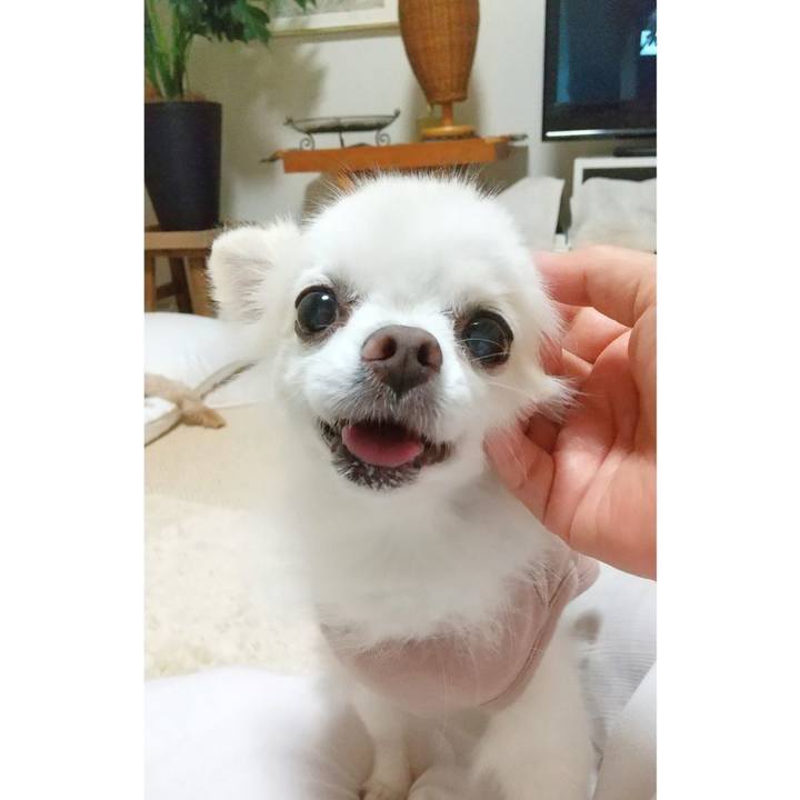 A8629f1f 16c9 4f0d 8065 9a3014397d4f 1631364292752