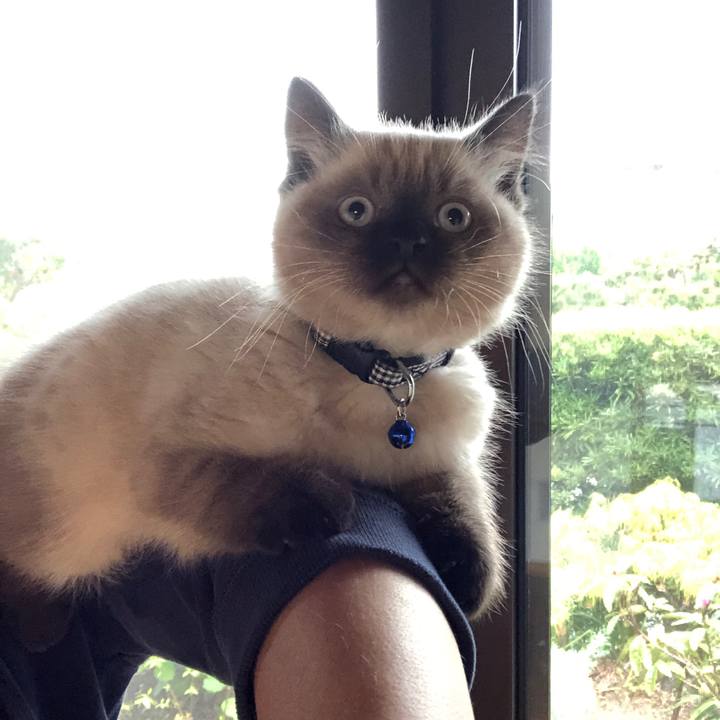 A862a52e 40ab 41b9 8ecd 9ecf0861ca65 1587370247130