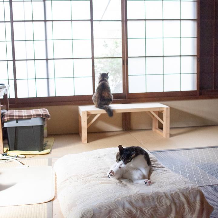 A862bd7f 0065 4902 85c3 fe7e4a294720 1576033645213