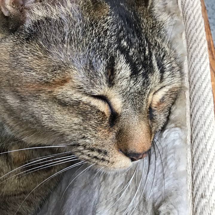 A862c0aa 8801 403a 8f9f 02889b0eee95 1647231368942