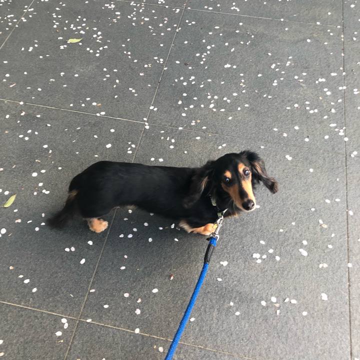 A862ce1c 695b 4bc3 b139 5fb39e6a2704 1555200903903