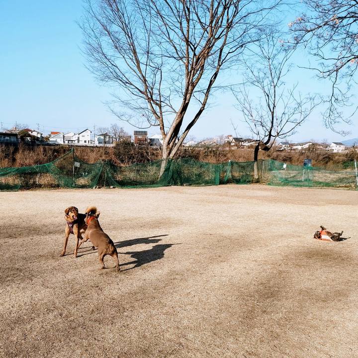 A862fb0d 3165 4664 9311 569d6daea88b 1771032832579