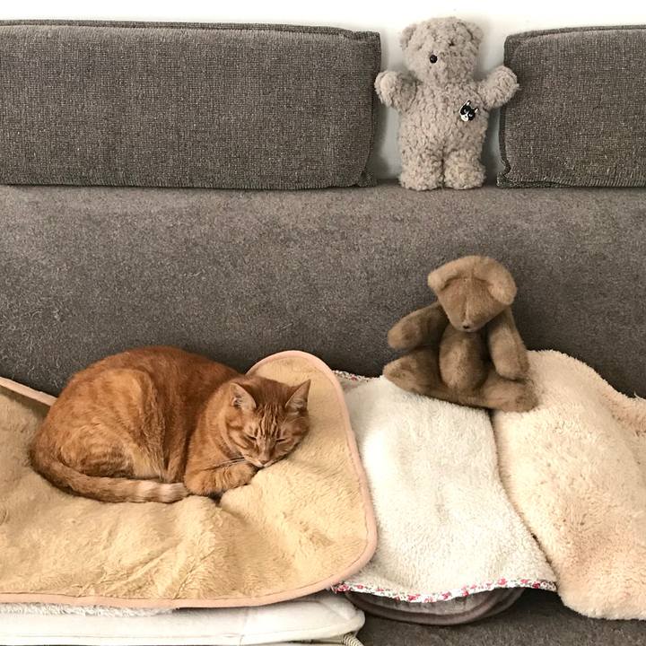 A8631931 7882 4ada 8ffb ec318ae9d548 1603852384942