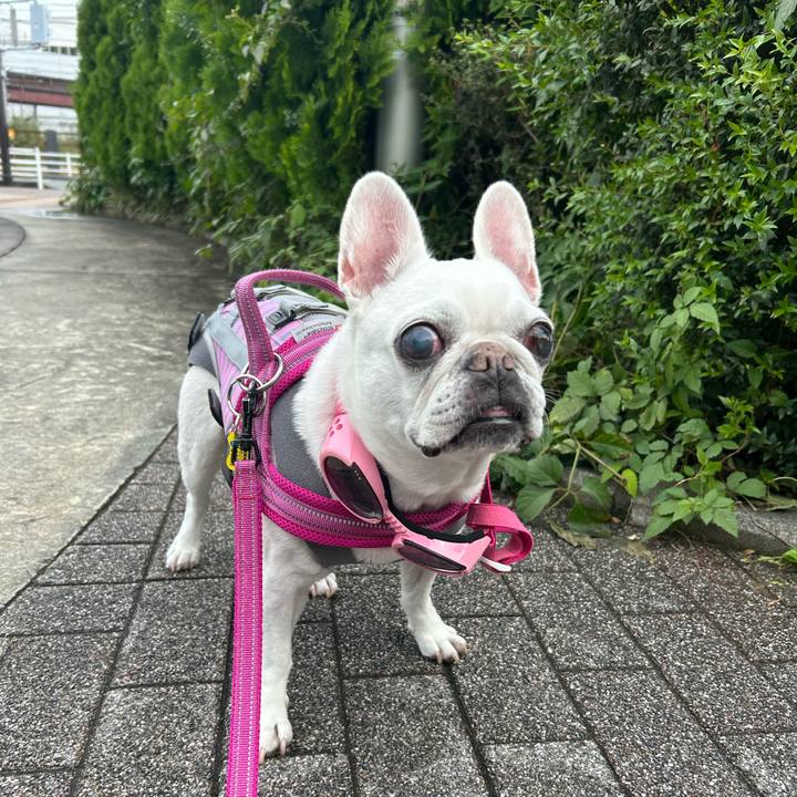 A863673a f22a 402c 9fb8 78c3077f776c 1761967730636