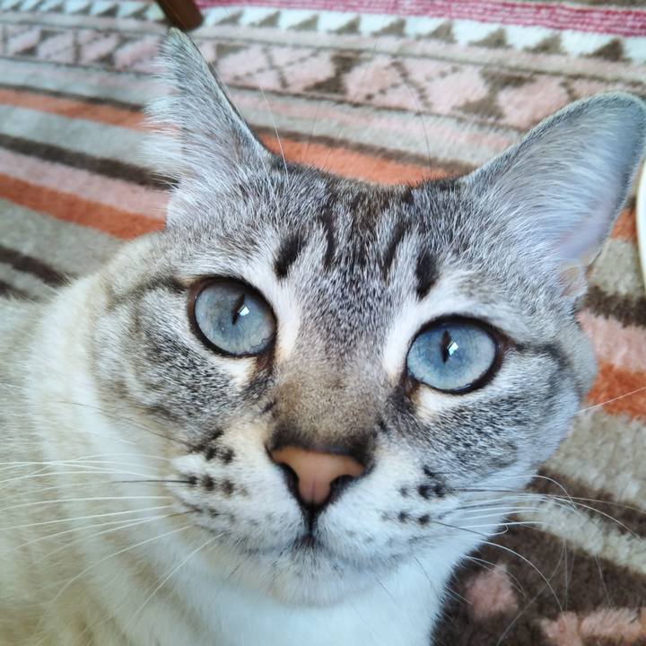 A8637e80 69d9 462d b76e cc1366686835 1583385090700