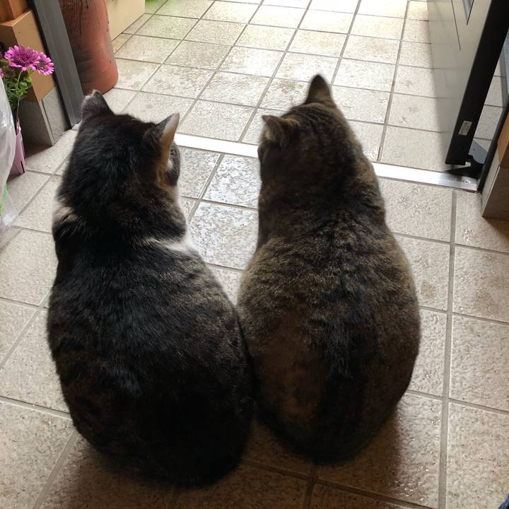 A8638128 9fa3 4ff3 a4c1 36b3d988754b 1520498704430