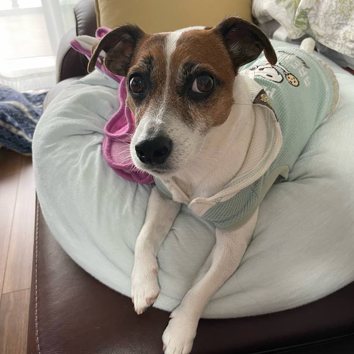 A8638797 de13 497d be70 beebe41925f9 1749859411050