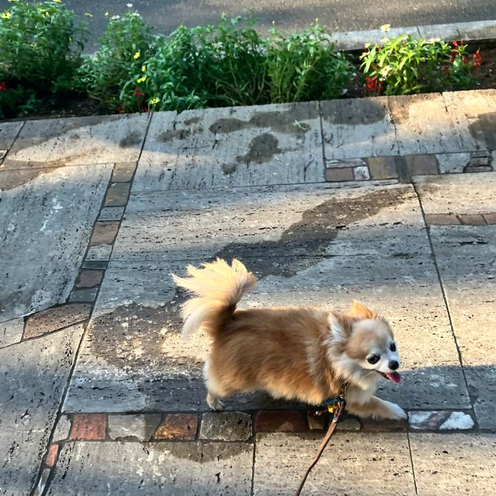 A863b10e c6d4 4a3b a7ff 2397f877ac1b 1755676557891