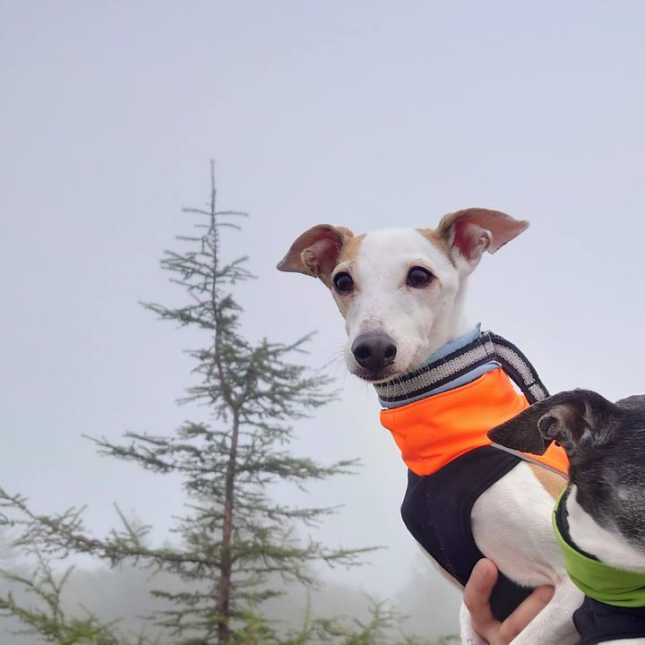 A863b2ef a915 4e8d 8841 2176bfc74983 1726458339186