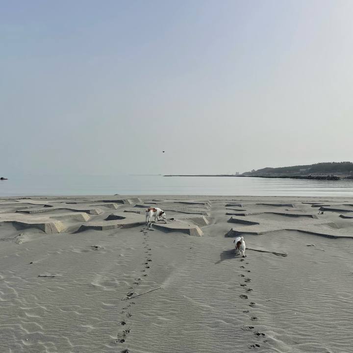 A863d26b 5b83 4126 b232 e2f3b2e8227e 1713401376951