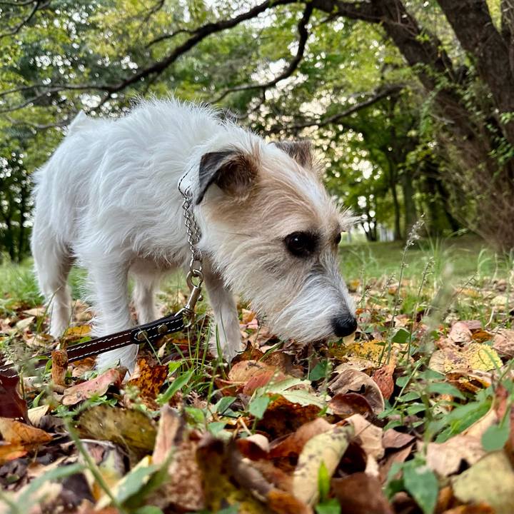 A8640886 59af 466d acb7 a1ba0a3f5b02 1727256222840