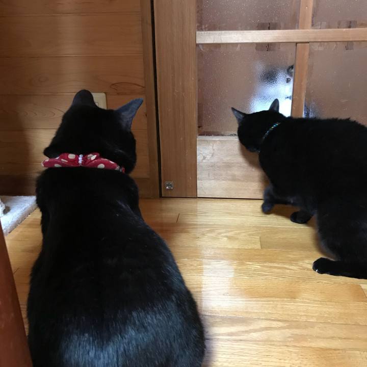 A8645c84 dd97 4ec5 935e ad0f7fe996ea 1511249672725