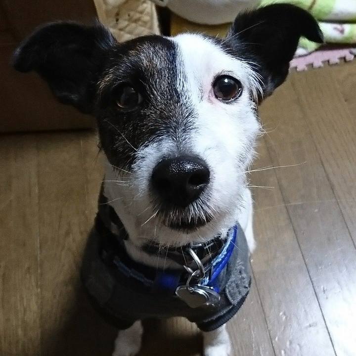 A8646b21 cc90 4b29 916b a320f3dd04b9 1515155226092