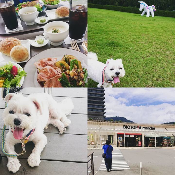 A86488aa dd3a 4849 bf8a a57493390fa6 1660211043107