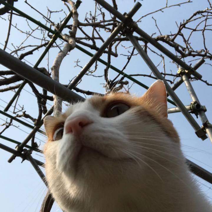 A864ecbb 8489 4e68 b449 db3056ce1fce 1521002554745