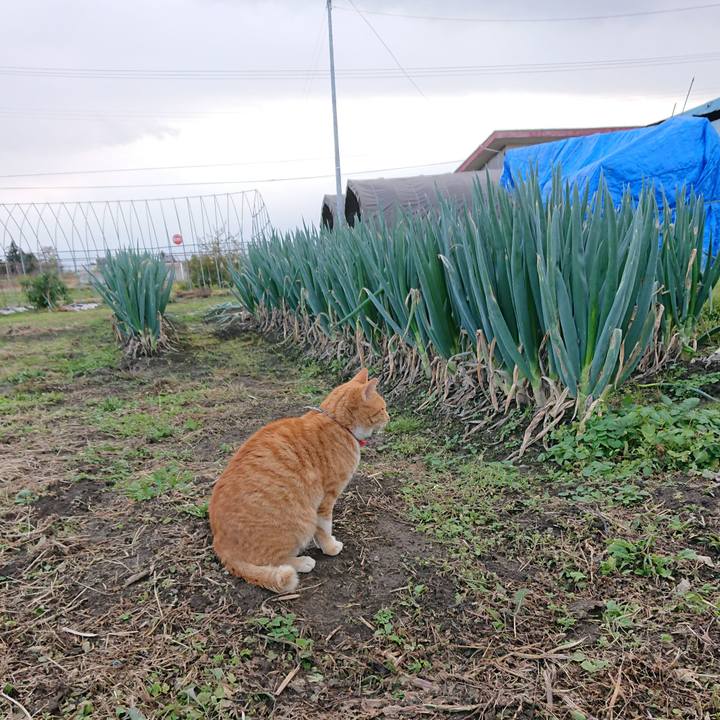 A8650b15 eb86 45d8 86ef bd20aaf321b3 1573891219360