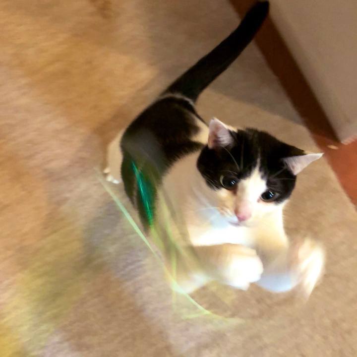 A86514d1 7c1f 42e9 9ddb 3fa3a91a88bc 1551758102873